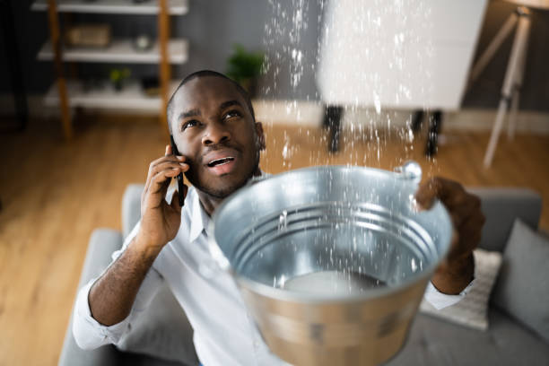 Best Flood damage cleanup  in New Albany, OH