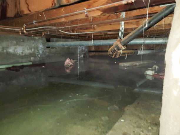 Best Emergency water extraction  in New Albany, OH