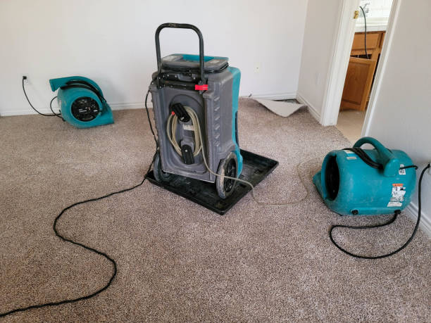 Best Water damage restoration near me  in New Albany, OH