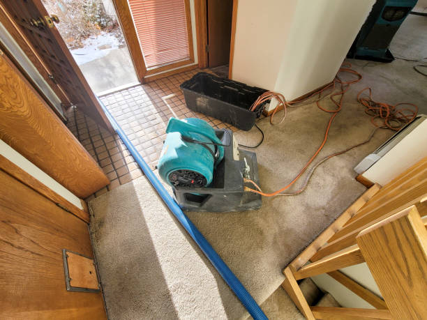Best Flooded house restoration  in New Albany, OH