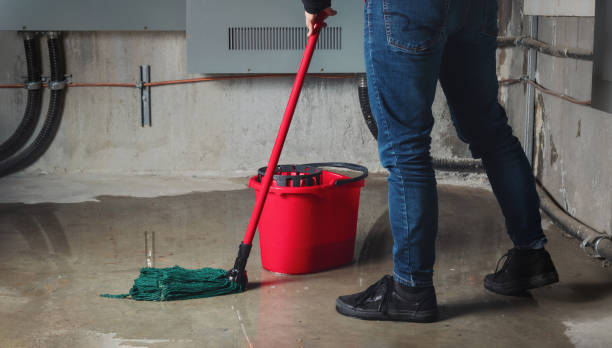Best Water damage cleanup near me  in New Albany, OH
