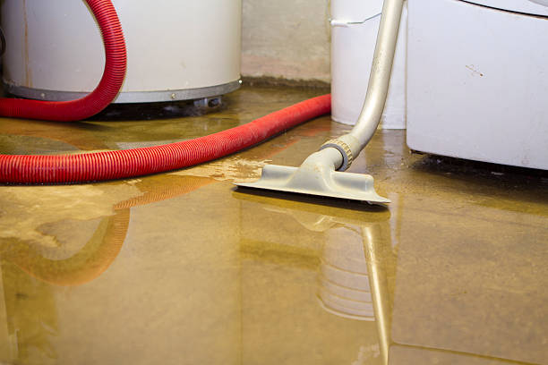 Best Ceiling water damage repair  in New Albany, OH