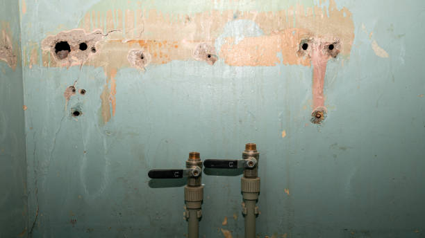 Best Flood restoration services  in New Albany, OH