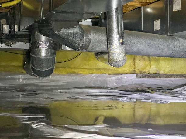 Best Mold removal after water damage  in New Albany, OH