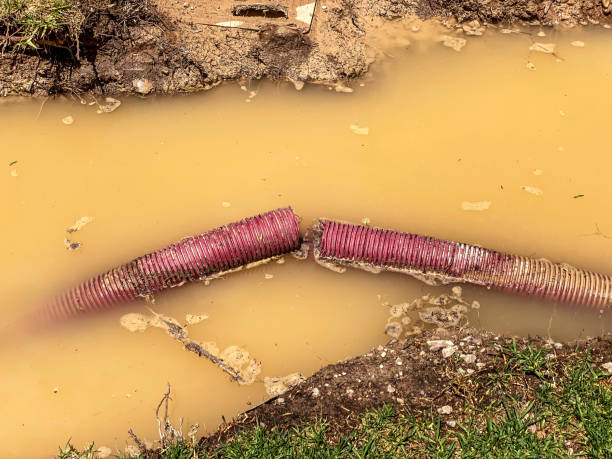Best Water damage contractors near me  in New Albany, OH