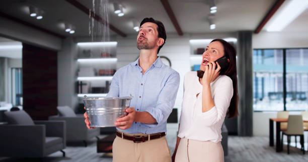 Best Water damage restoration services  in New Albany, OH