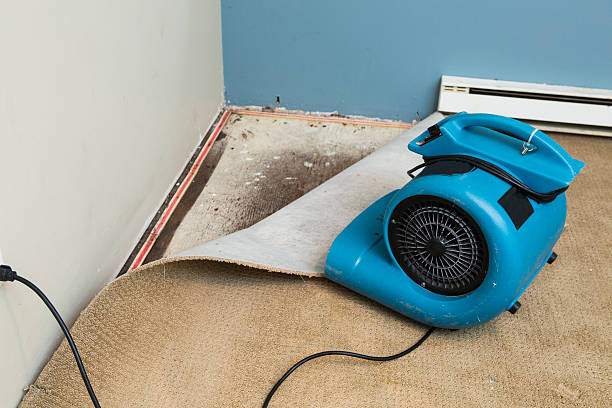 Best Local water damage restoration  in New Albany, OH